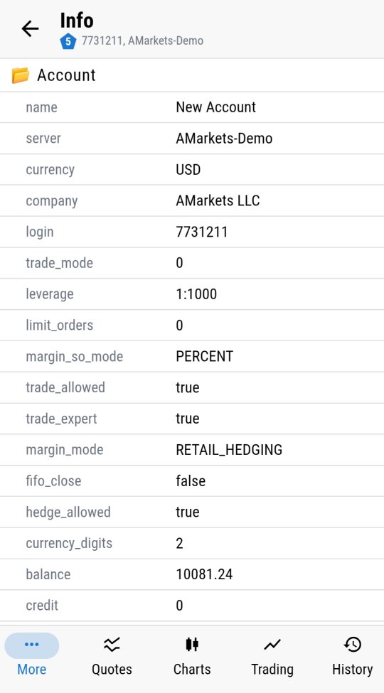 Account info screen with leverage, balance, equity and margin level