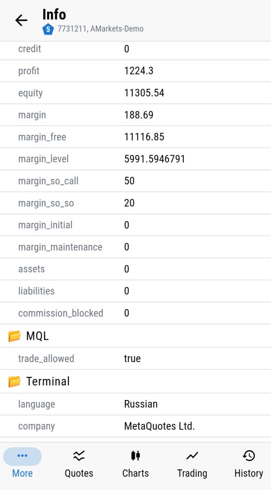 Account info continued - profit, margin call/stop-out levels and MQL trade permission