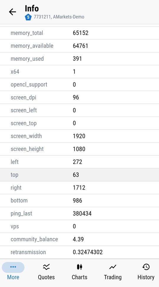 Memory, screen and ping details at the bottom of the diagnostic screen