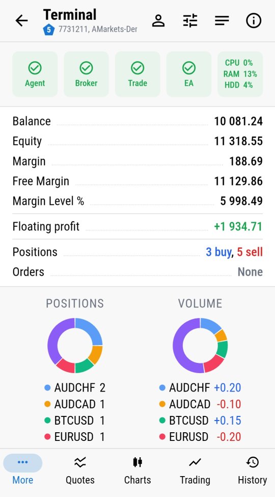 MTRemote terminal dashboard with status, balance and positions