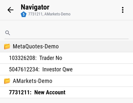 Navigator mit Konten, gruppiert nach Broker-Verbindung