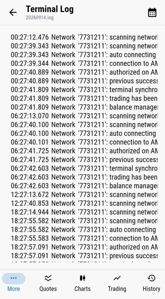 Terminal Log listing connection and authorization events
