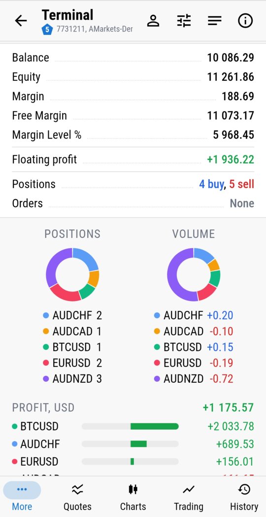 Terminal dashboard with profit by symbol in MTRemote