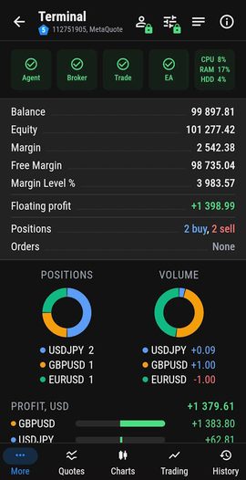 Terminal overview: agent, broker and EA status, balance, equity and margin